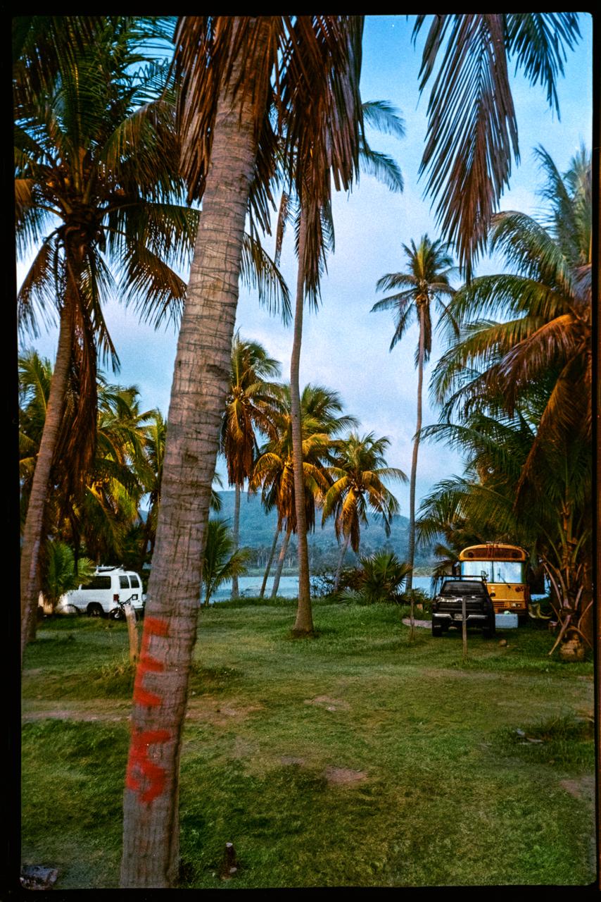 Análogo Playero